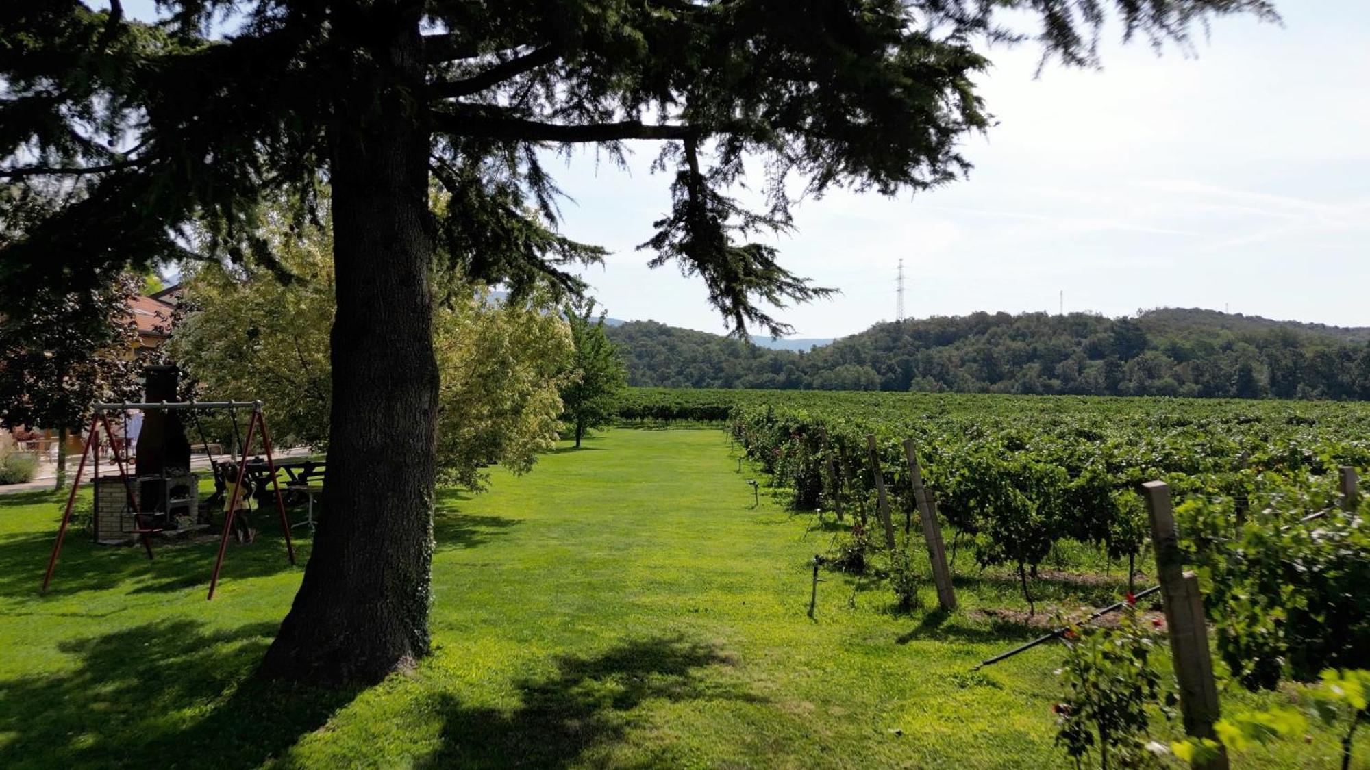 Agriturismo Corte Patrizia Caprino Veronese Exterior foto